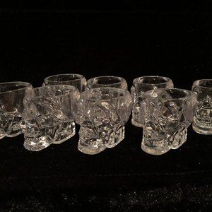 Set of 8 Crystal Head Skull Vokda Shot Glass NEW 1oz Acrylic Halloween, Bar